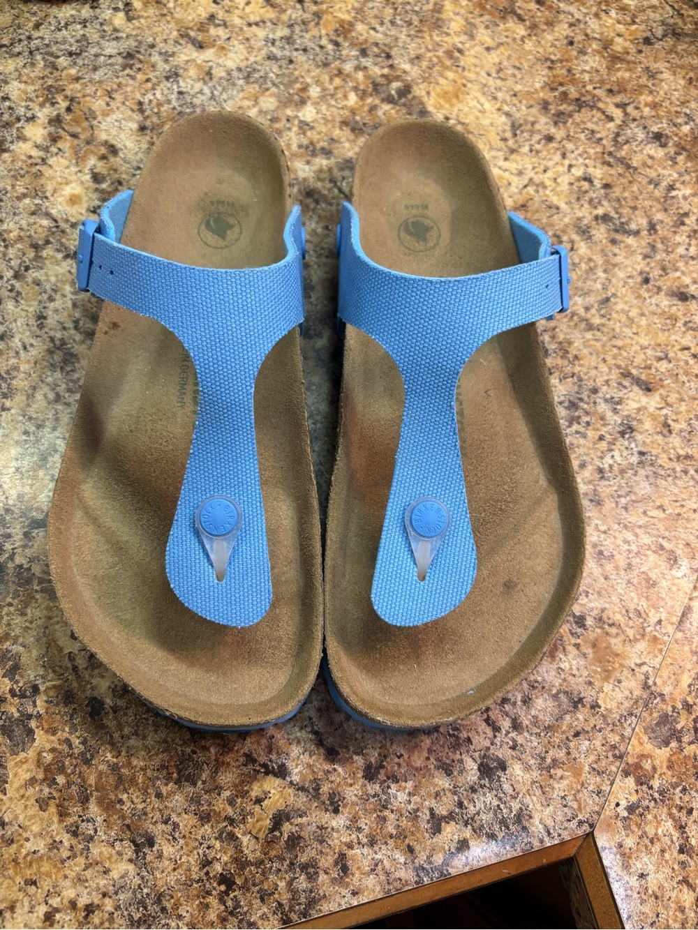 Birkenstock Women's Blue Thong Sandals